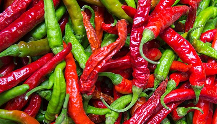 Bullet Chilli