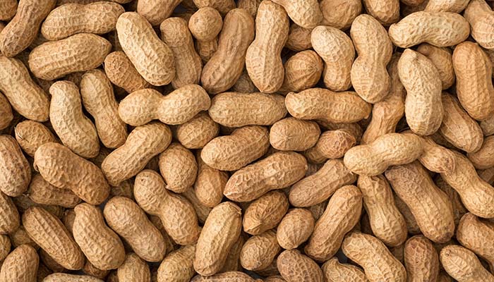 Peanuts
